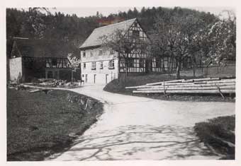 Langholz vor der Freiheit